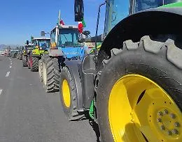 Si muovono gli agricoltori siciliani, assemblea e presidi: &laquo;Il pomodoro a 8 euro al kg non &egrave; un problema solo nostro&raquo;