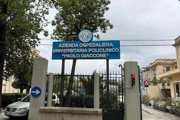 Malattia epatica avanzata: il nuovo Pdta del Policlinico Paolo Giaccone guida i pazienti