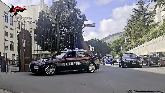 Monreale, territorio al setaccio con 12 denunce: furti, evasione, armi e droga