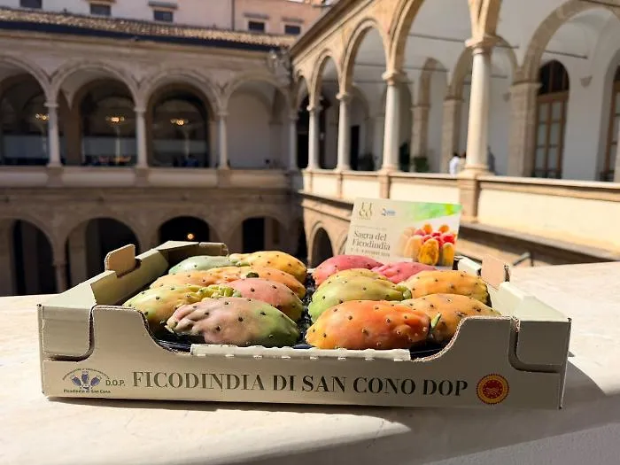 Il ficodindia che ha trasformato un paese: presentata a Palermo la quarantesima edizione della sagra di San Cono
