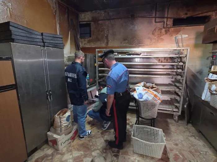 Legna verniciata e chiodi nel forno a Bompietro, magazzino ortofrutticolo abusivo a Polizzi: blitz dei Carabinieri sulle Madonie